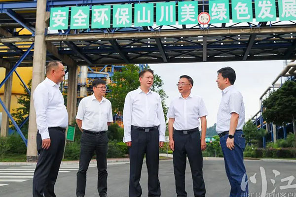 杨林兴：把新型工业化摆在更加突出的位置，让“四化同步”发展的主引擎作用更加凸显